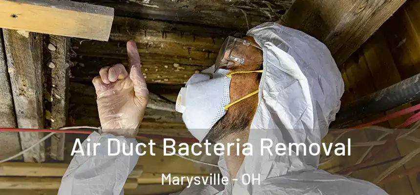 Air Duct Bacteria Removal Marysville - OH