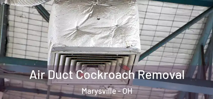  Air Duct Cockroach Removal Marysville - OH