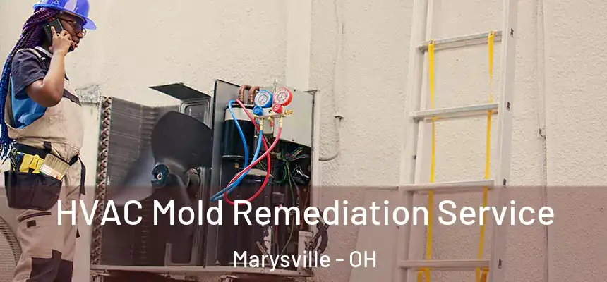  HVAC Mold Remediation Service Marysville - OH
