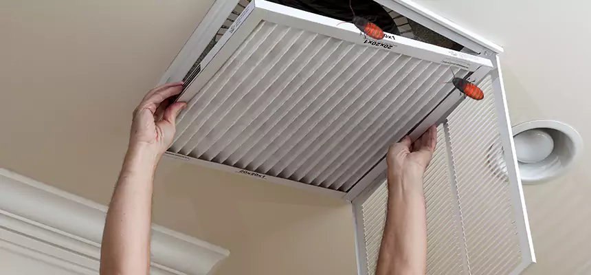 Preventive Cockroach-Proofing for Ducts in Marysville