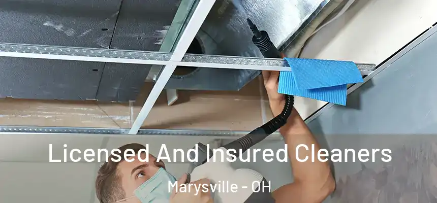  Licensed And Insured Cleaners Marysville - OH