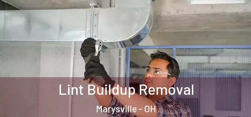  Lint Buildup Removal Marysville - OH