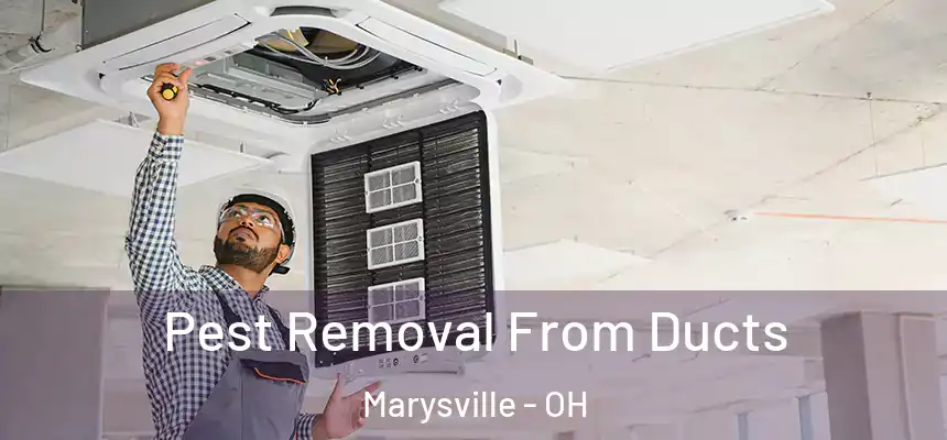  Pest Removal From Ducts Marysville - OH