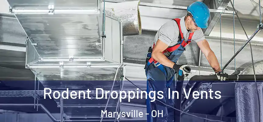  Rodent Droppings In Vents Marysville - OH