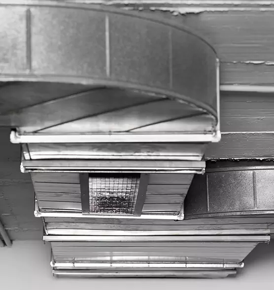 Professional Air Duct Pet Hair Removal in Marysville, OH