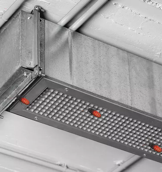 Affordable Insect Removal from Air Ducts in Marysville, OH